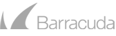 barracuda grey logo